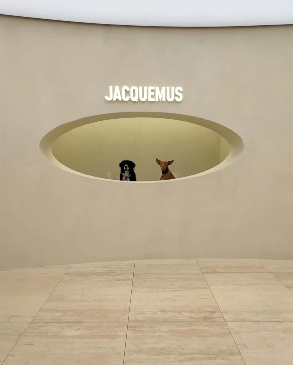 step inside the art-filled jacquemus office designed by OMA in paris