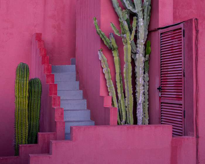 márton mogyorósy casts a lens on ricardo bofill’s iconic la muralla roja in spain