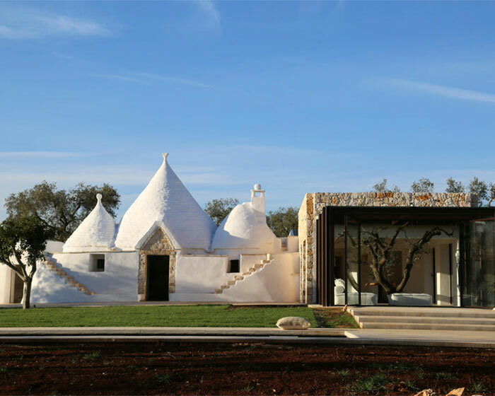 ancient olive tree thrives within renovated traditional residential complex in italy