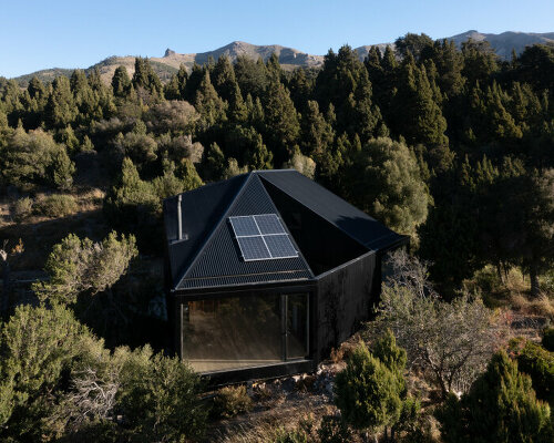 triangular courtyard slices moarqs' remote, pitch-roofed house in argentina forest 