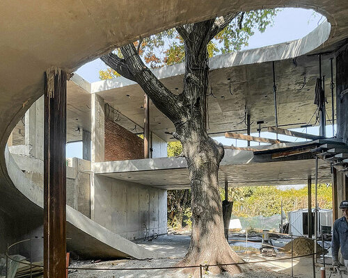 atelierM's grassy LuMa house encircles a century-old oak tree in argentina