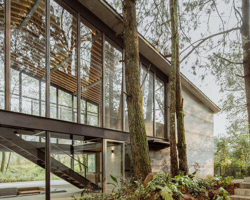 a glass house in the woods: 1i arquitectura's modern dwelling is sheltered by tall trees