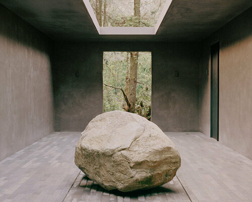 mexican studio PPAA curates minimalist 'copas' house to open onto lush treetops