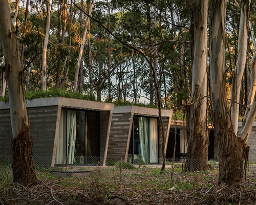 gonzalo bardach's stone house frames views of argentina's forest through vast voids