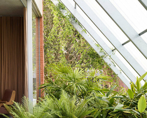 with fiberglass facade, gill architects' clifton house doubles as a greenhouse in north bondi