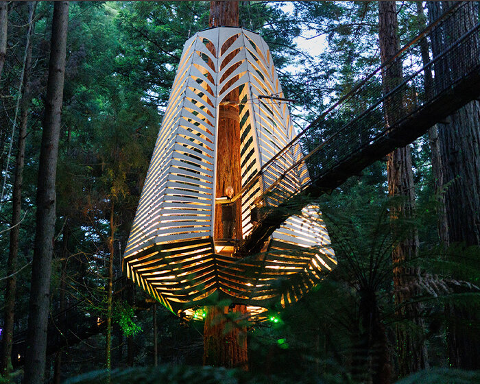 illuminating horoeka tree pod hangs above redwood forest in new zealand