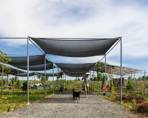 studio annetai perches small concrete and steel home amid pepper plantation in vietnam