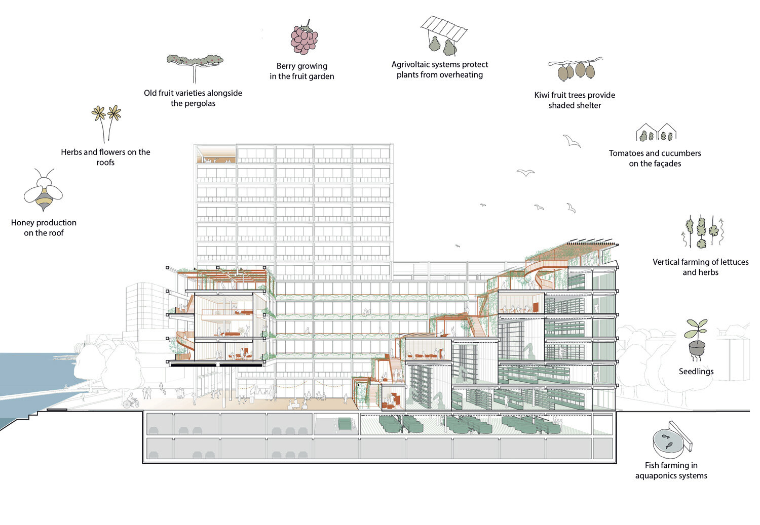 HENN's vertical farmhouse encloses grid terraced roof garden between ...