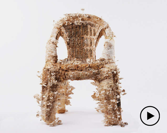 agricultural waste-grown mycelium by NONGZAO takes over everyday plastic objects