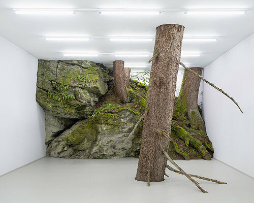 fabian knecht installation isolates austria's wild nature within a white cube