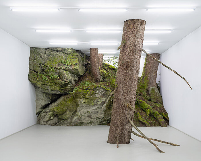 fabian knecht installation isolates austria's wild nature within a white cube