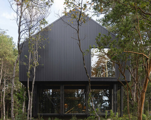 transparent below and sheltered on top, KW house sits amid forest in chile