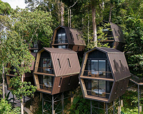 m j kanny architect plants cluster of nest-like chalets on malaysian hillside