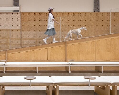 informal design transforms toy factory into community center for people and pets in china