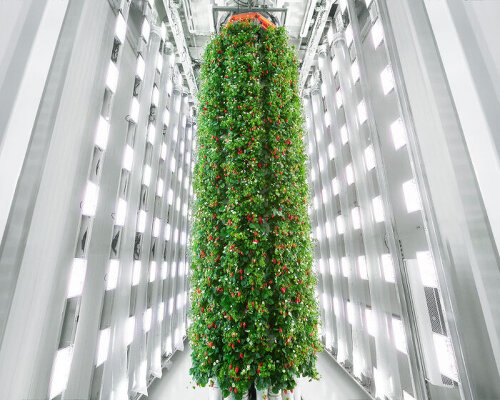 plenty opens world’s first vertical farm that uses AI to grow strawberries indoors in virginia