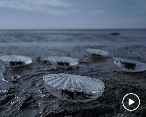 kinetic clam sculptures convert data from bodies of water into evolving soundscapes