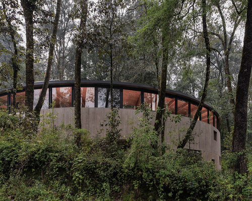 ring structure of casa girasol channels sunlight amid pine forest in mexico