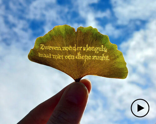 an ode to letting go: merel slootheer imprints small poems onto autumn fallen leaves