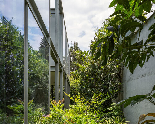 garden void softens the rigid steel and glass structure of cárpatos house in mexico city