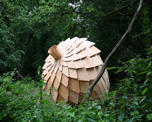 LFZ studio's giant wooden acorn becomes a meditative pod in a forest in france