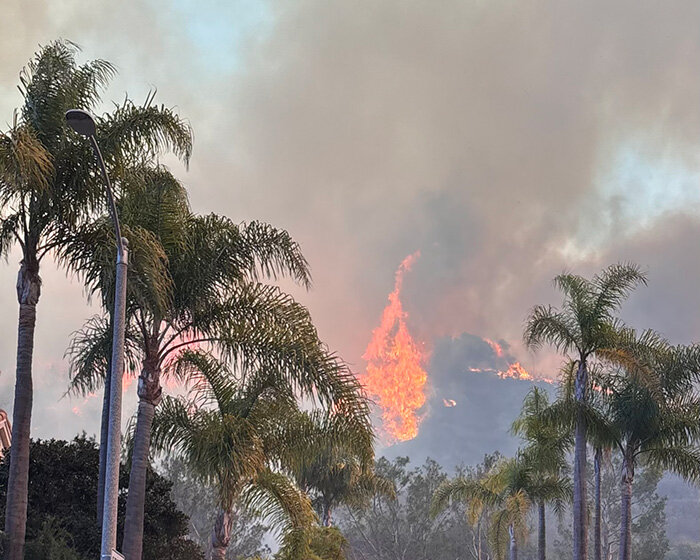 major art organizations launch relief fund for artists impacted by LA wildfires