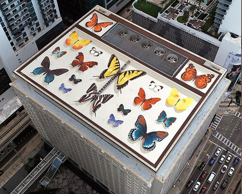 mantra brings his signature lifelike butterflies to miami’s largest rooftop mural