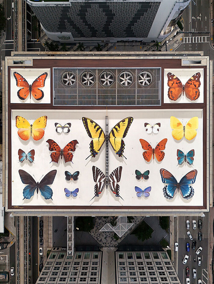 BUTTERFLIES | designboom