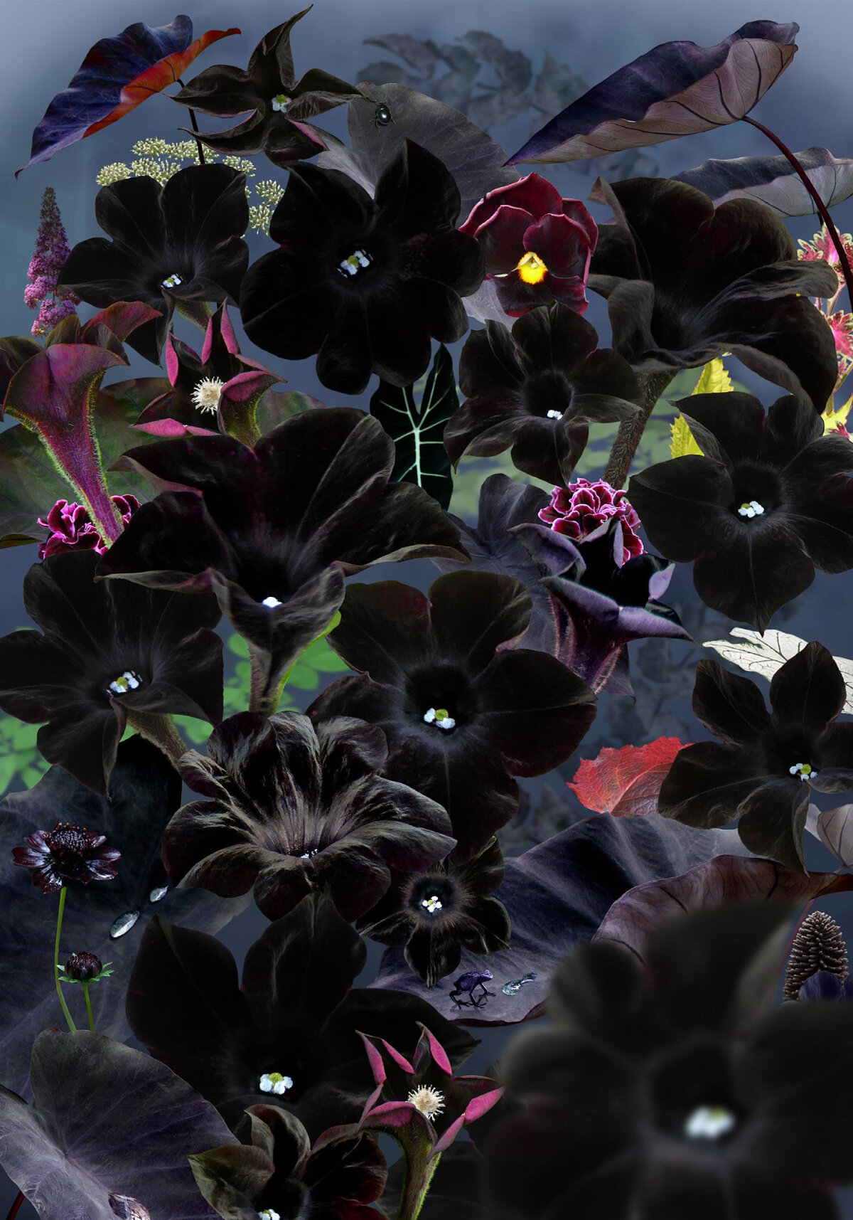 Ruud Van Dibel, Black Forest | Gambar Courth the Artist