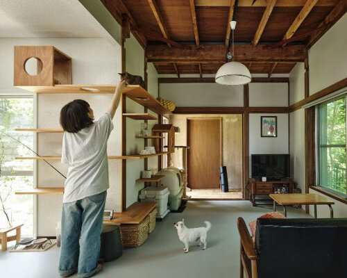 ROOVICE installs vertical wooden play wall for cats into 1970s japanese home