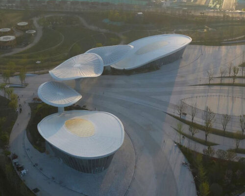 biomimetic canopies sculpt blooming hibiscus for chengdu international horticultural expo