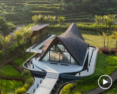 undulating wood and bamboo top k-thengono's wedding compound in indonesia rice fields