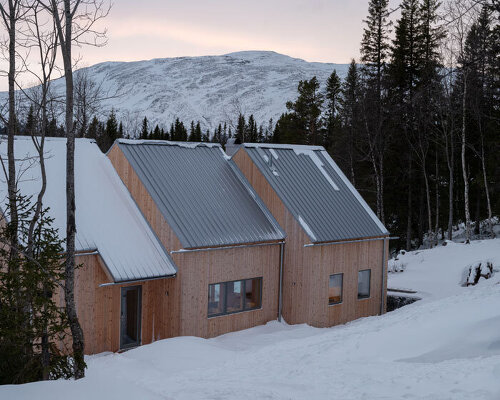 three stepped pitched-roof forms top note studio's ottsjö villa in sweden